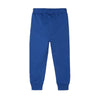 5.10.15 Discover More Sleek Blue Fleece Trouser 14658