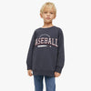 ZR Baseball flock Grey Sweatshirt 9779