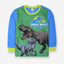 JRSC World Dino Print Green Fleece Two Piece Trouser Set 10232
