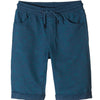 Lincoln and Shark Blue Shark Shorts Cotton