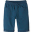 Lincoln and Shark Blue Shark Shorts Cotton