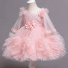 CN Front Flower Style Net Sleeves Pink Fancy Frock 10728