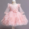 CN Front Flower Style Net Sleeves Pink Fancy Frock 10728