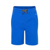4F Textured Grey Cord Royal Blue Shorts 1736