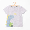 51015 Dino Texture Grey Tshirt 3496