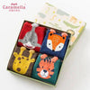 CRM Jungle Animal Green 4 Socks Box 4647