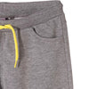 L&S Skate City Stamp Grey Shorts 1807