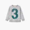 Grey 3 Boys Sweatshirt 469
