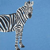 MC Zebra Cadet Blue Tshirt 4457