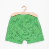51015 Dino Print Green Shorts 3696