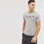 Tommy Color Embroidered Grey Tshirt 6218
