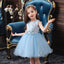 XB Top Embroidered Aplic Flowers Light Blue Fairy Frock 9248