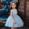 XB Top Embroidered Aplic Flowers Light Blue Fairy Frock 9248