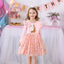 VKT Aplic Unicorn Pink Heart Fancy Full Sleeves Frock 8731