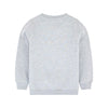 TAO Waves Rider Shark Grey Sweatshirt 3149