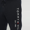 TH Dark Blue Jogging Pants