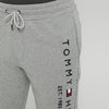 TH Grey Jogging Pants