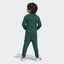 AD Shoulder Stripe Sports Green Track Suit 8690