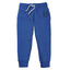 LUP Lion Printed Royal Blue Winter Trouser for Boys
