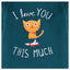 B.X I Love You Cat Teal Sweatshirt 8703