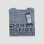 TH Grey T-Shirt For Boys 9761
