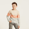 MS Beige And Grey Knitted Sweater 8669