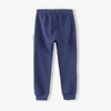 FC Limited Addition Soft Blue Terry Trouser 11449