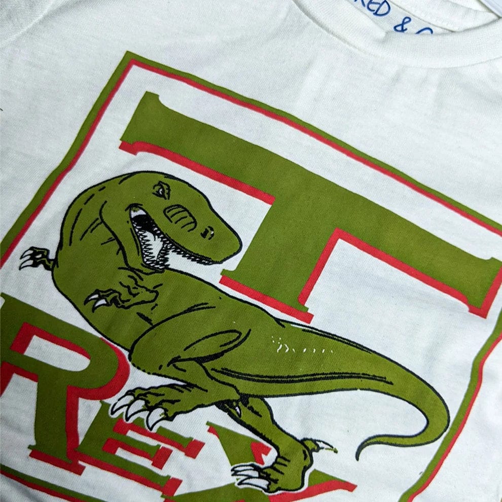 JC Trex Dino Print  T-Shirt Orange & Green Contrast with  Dino Shorts Print 2 Piece Set 14087