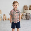 HM Multiple Check Box  Half Sleeves Casual Shirt 14026