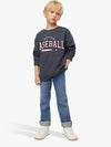 ZR Baseball flock Grey Sweatshirt 9779