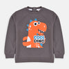 B.X Cool Dino Brown Sweatshirt 3437