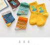 Dino Series Assorted 5 Socks Pair 8647