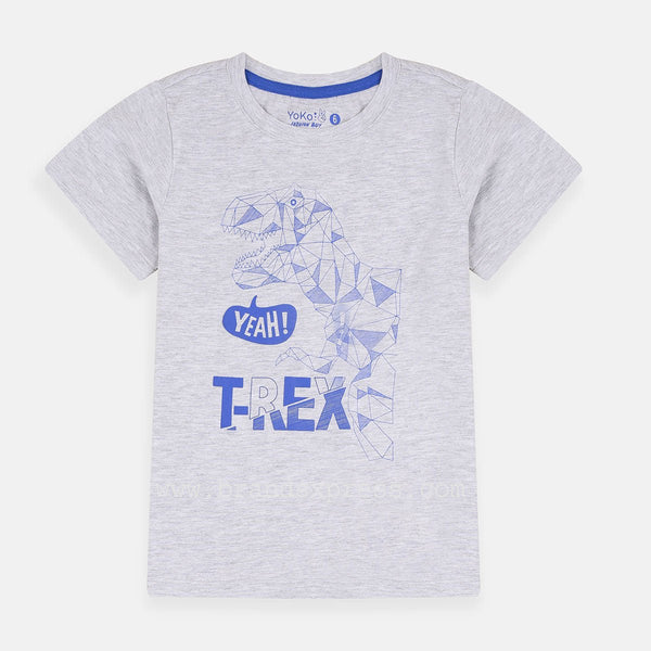YK Diamond Cut Dino Yeah Track Grey Tshirt 4626