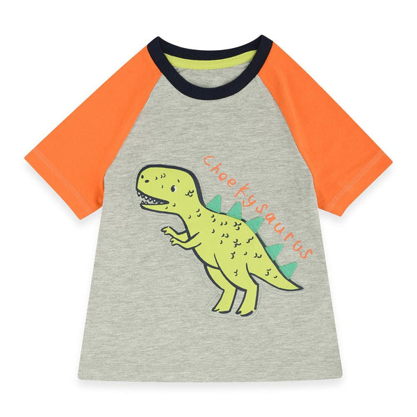 GRG Cheeky Dino Applic Grey Tshirt 2064