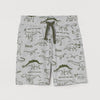 HM Dino Print Grey Shorts 4267