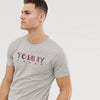 Tommy Color Embroidered Grey Tshirt 6218