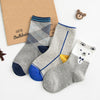 CRM Decent Boy Grey 3 Piece Socks Set 9269