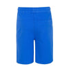 4F Textured Grey Cord Royal Blue Shorts 1736