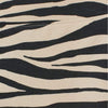 HM Zebra Print Skin Legging 2171