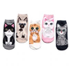 RaadFeel Cats Character 5 Packs Of Cotton Socks 8692