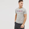 Tommy Color Embroidered Grey Tshirt 6218