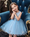 XB Top Embroidered Aplic Flowers Light Blue Fairy Frock 9248
