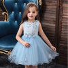 XB Top Embroidered Aplic Flowers Light Blue Fairy Frock 9248