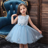 XB Top Embroidered Aplic Flowers Light Blue Fairy Frock 9248
