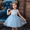 XB Top Embroidered Aplic Flowers Light Blue Fairy Frock 9248