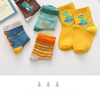 Dino Series Assorted 5 Socks Pair 8647