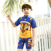 ISD Paw Patrol Face Mustard & Blue Shorts set With Cap 9727