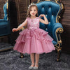 XB Top Embroidered Step Bottom Dark Pink Fairy Frock 9247