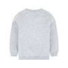 TAO Waves Rider Shark Grey Sweatshirt 3149