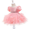 CN Sequin Front Belt Flare Bottom Pink Fancy Frock 10731